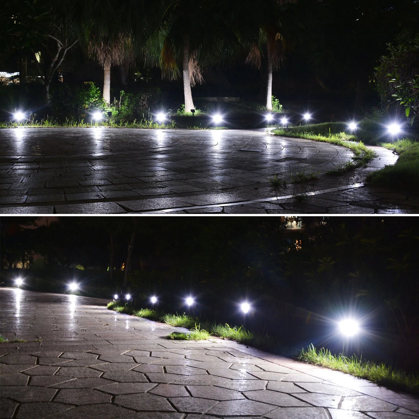 Brilliant White Light - Brighten Your Path: Solar Spotlights for Walkways 